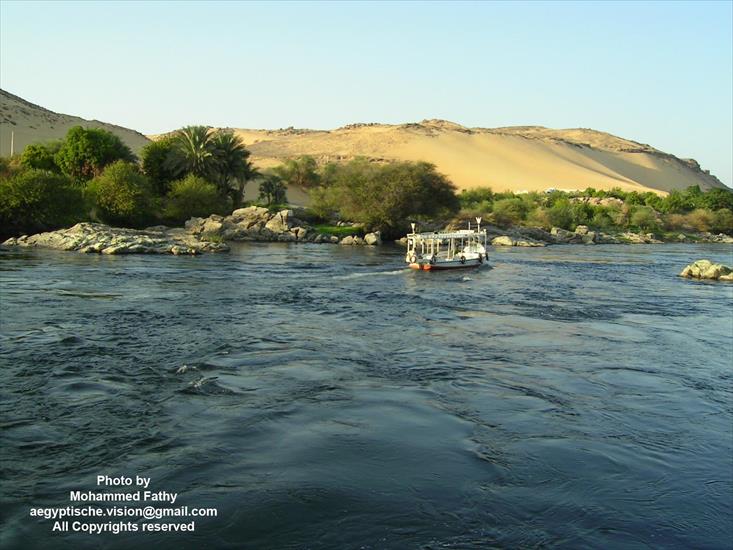 Przyroda - Przyroda w Aswan 488.jpg
