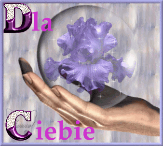 GIFY- DLA CIEBIE - dla ciebie fioletowy kwiat.gif