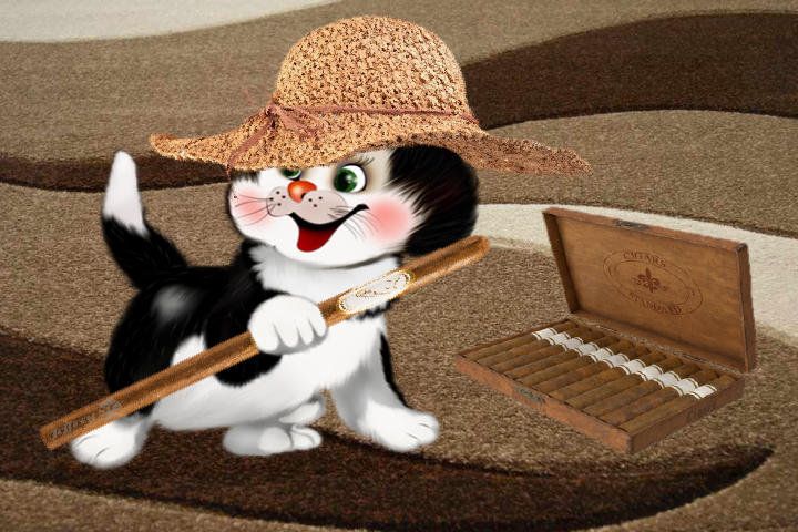 Tapety - Kot w kapeluszu  - seria - Tapeta  - 1.png