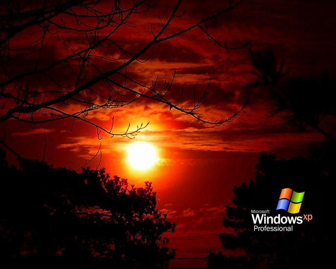 Tapety windows - Blood_Moon_Desktop.jpg
